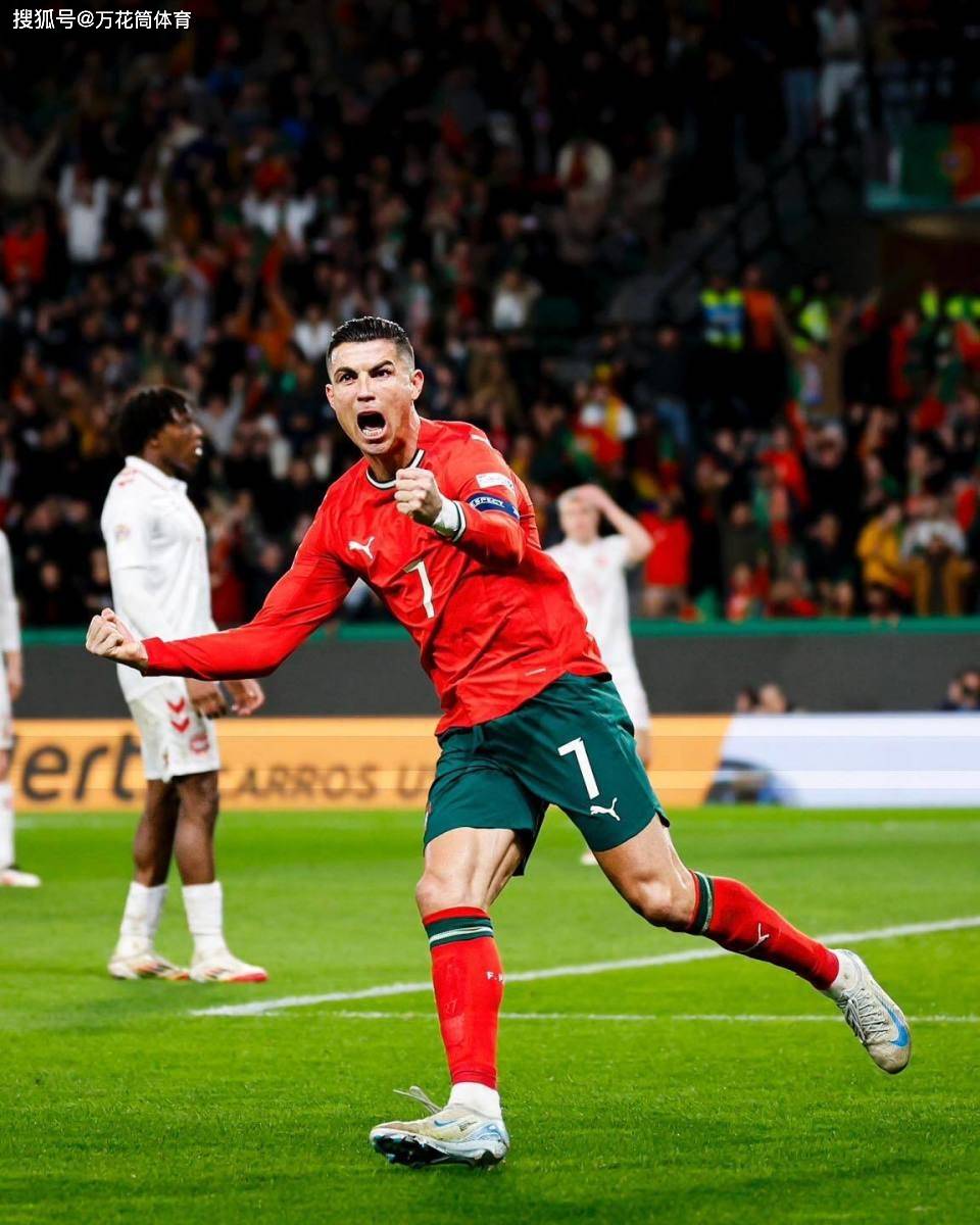 葡萄牙挺进半决赛，力争夺冠的简单介绍